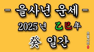 [2025년 운세] 을사년 癸 일간