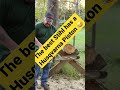 Man is a Genius 🧠 Finds Solution to Stihl Chainsaw Low Power Problem  😀 #shorts