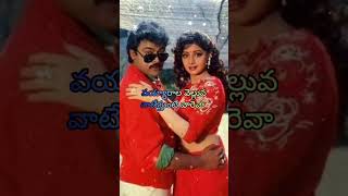 అబ్బనీ తియ్యని #chiranjeevi #megastar #sridevi #telugusongs #viralvideo #shivanirvana #tollywood