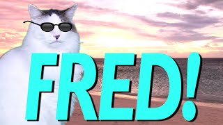 HAPPY BIRTHDAY FRED! - EPIC CAT Happy Birthday Song