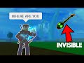 Trolling kid in a Hide and Seek by being Invisible.. (Blox Fruits)