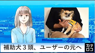 補助犬３頭、ユーザーの元へ　AIアナ・４月１１日／神奈川新聞（カナロコ）