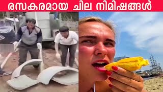 ചെറിയ അബദ്ധം പറ്റി... നാറ്റിക്കരുത് | ക്യാമറയിൽ പകർത്തിയ രസകരമായ നിമിഷങ്ങൾ