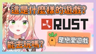 對RUST完全不了解的ねね 思考現在能不能去參一腳 開始詢問起觀眾 【hololive/桃鈴ねね】