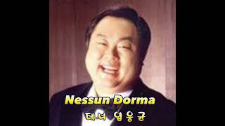 Nessun Dorma-테너 임웅균