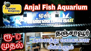 anjal fish aquarium in Thanjavur #thanjavur #fish #fishaquarium #thanjavurbigtemple #thanjaiempires