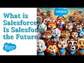 What is Salesforce? Is Salesforce the future? Apex Salesforce Tutorials