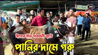 ঈদের দিন মধ্যরাতে গাবতলী হাটের চিত্র! কোরবানির গরু ২০২৪