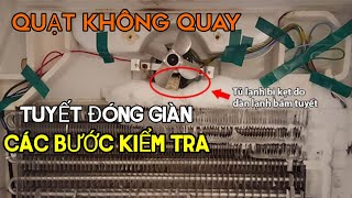 QUẠT GIÀN LẠNH TỦ LẠNH KHÔNG QUAY CÁCH KIỂM TRA CÁC BỘ PHẬN TRONG MẠCH QUẠT TỦ LẠNH CHO THỢ MỚI