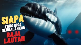 5 Hewan Yang Bisa mengalahkan Orca - Raja Lautan