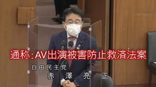 2022年5月25日 (水) 衆議院 内閣委員会 赤澤亮正(自由民主党)議員質疑