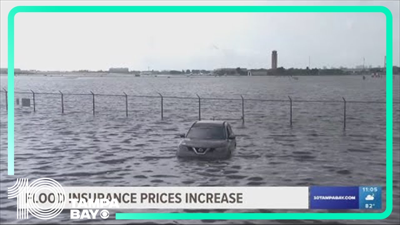 Here's Why Florida Federal Flood Insurance Policies Are On The Rise ...