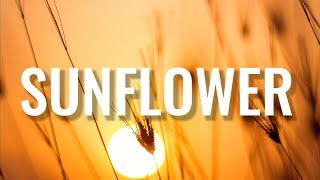 Post Malone  - Sunflower (Lyrics)