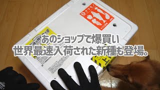 極寒の時期に通販で生体など大量購入！世界最速入荷の新種も紹介！#362【アクアリウム】