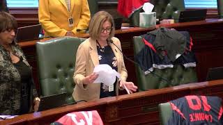 Honoring the life and legacy of former Illinois State Representative Rosemary M. Kurtz