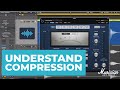 This will help you understand compression (waveform demonstration)