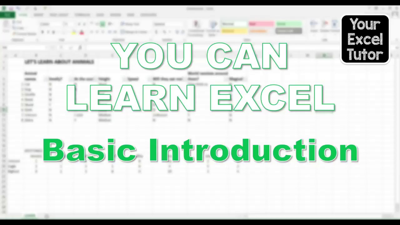 Learning Excel - Basic Introduction - YouTube