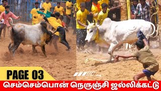 செம்பொன் நெருஞ்சி ஜல்லிக்கட்டு 2024 Videos page 03