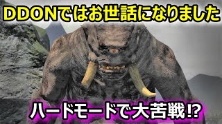 【ドラゴンズドグマ ダークアリズン】テルサイでのレベル上げ周回を思い出す VSサイクロプス