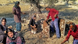 Building a house for dogs. Destruction of the wall on Abdul Rashid's head