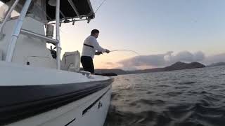 Pargos Bahía Topolobampo, Sin. Carlos Ernesto Fishing