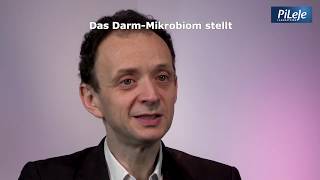 Das Darm-Mikrobiom