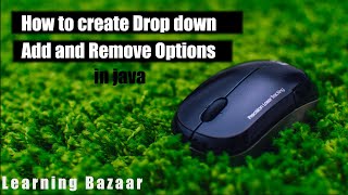 How to create dynamic Drop down list in java | JComboBox in java swing | Learning Bazaar