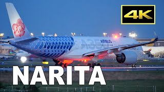 [4K] 特別塗装機 China Airlines (Carbon Fibre Livery) Airbus A350 at Tokyo Narita Airport  / 成田空港