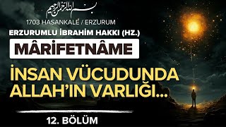 İnsan Vücudunda Allah'ın Varlığı | Erzurumlu İbrahim Hakkı Hz. | Sesli Kitap