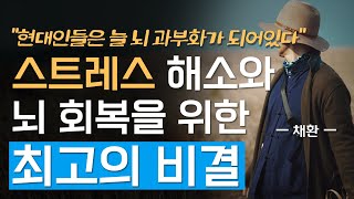 스트레스에서 벗어나 심신의 안정을 찾는 방법 | 정보의 홍수 속 정신겅강을 지키는 법 | 법문 | 조언 | 지혜