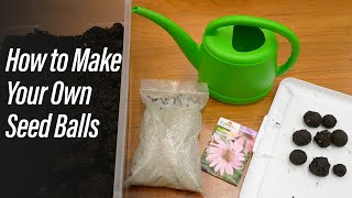 How to Make Seed Balls to Distribute Native Seeds