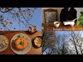 Eclectic diary | Memories of a distant autumn | Steamed & stuffed pumpkin | Diary 2