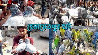 হেমায়েতপুর কবুতর হাটের কবুতরের দাম এবং কী কী কবুতর পাওয়া যায়। pigeon \u0026 pet market in Hemayetpur 2022