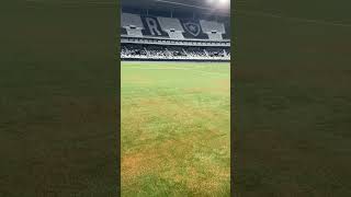 Se liga como ficou o novo gramado do estádio Nilton Santos. #botafogo #noticiasdobotafogo #futebol