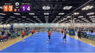 Momentum Org VS NIVA 18 PURPLE