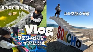 Vlog_강원도여행, 속초해수욕장, 주문진수산시장, 주문진맛집신성호, 아쿠아숲카페