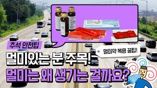 차만 타면 속이 울렁~ 멀미는 왜 생길까요?