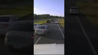 Turtle on highway causes multi-car crash in Florida
