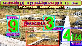 வள்ளியூர் To13km சமூகரெங்கபுரம் 4.1/4 ஏக்கர்விவசாயநிலம்.சென்ட் 9 ஆயிரம்-950-022.09.20 #property #JJJ