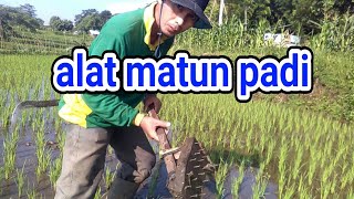 alat penyiang gulma padi manual