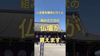 お仏壇貰った(東本願寺)浄土真宗 #京都 #お寺 #親鸞聖人 #shorts