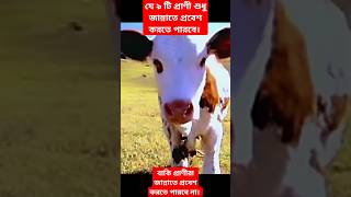 যে ৯ টি প্রাণী শুধু জান্নাতে প্রবেশ করতে পারবে। #islamicstatus #trendingshorts #viral #youtubeshorts