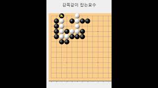 만만치 않아 보이지만 쉬운 방법이있습니다 - 바둑사활묘수  #바둑 #장기 #games