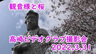 観音様と桜　高橋富士夫（高崎ビデオクラブ）