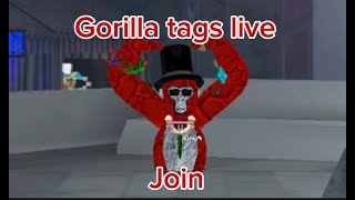 🔴Gorilla tag live!!!🔴Join up🔴