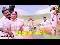 Muthumani Malai Unna -Video Song | Chinna Gounder | Ilaiyaraja | Vijaykanth | Sukanya | Stereo | HD