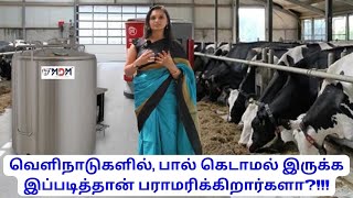 பாலை பதப்படுத்துவது ஆரோக்கியமானதா?!!!😲 | BULK MILK COOLER | Milk Chiller | BMC | Dairy processing