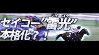 【韋駄天ステークス 結果 2014】セイコーライコウ