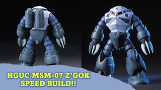 HGUC MSM-07 Z'Gok Speed Build