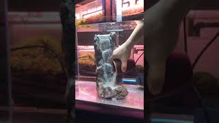 Set up an Amazing Water fall in fish tank | Unique Aquarium set up ideas - Sak Lo Fish TV